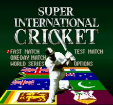 Image n° 1 - screenshots  : Super International Cricket